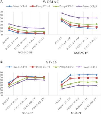 Effects of Comorbidities on Pain and Function After Total Hip Arthroplasty